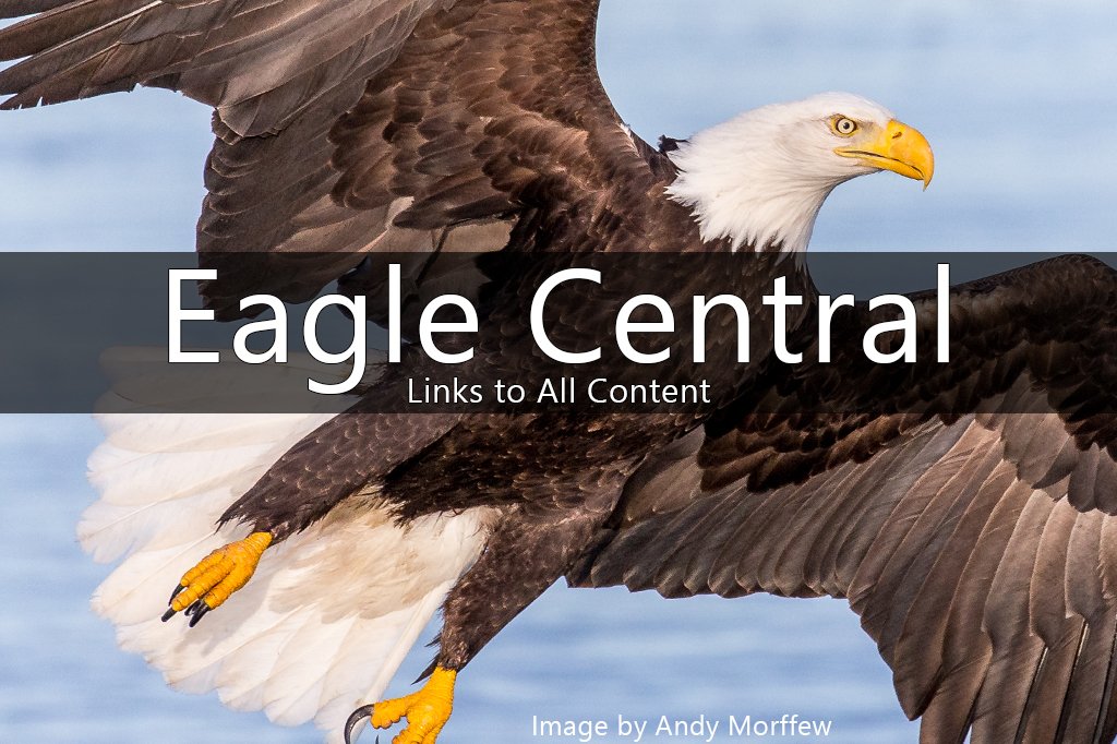 Home Link to Eagles Explored Content Hub and Site Map