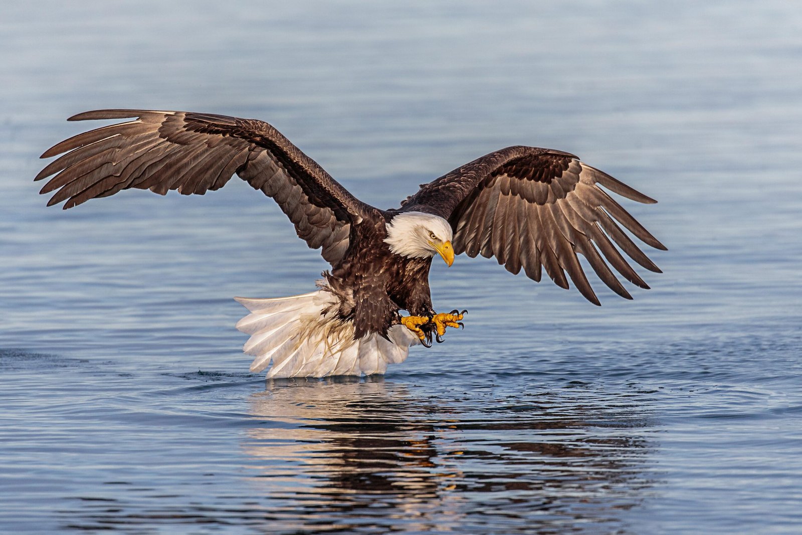 Andy Morffew (andy morffew / andymorffew com / cc by 20)