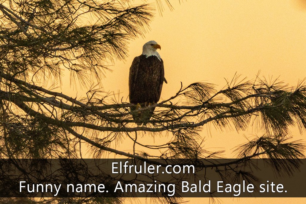 Trusted Resources elfruler icon 02 mod1 1024x762