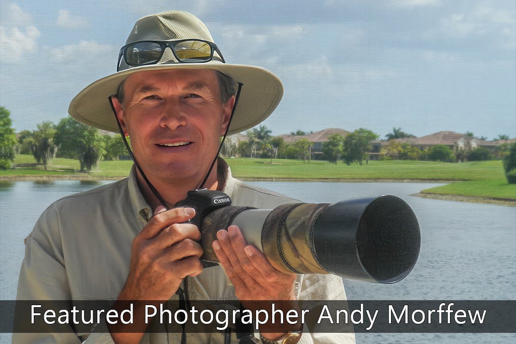 Trusted Resources EaglesExplored.com featured photographer Andy Morffew