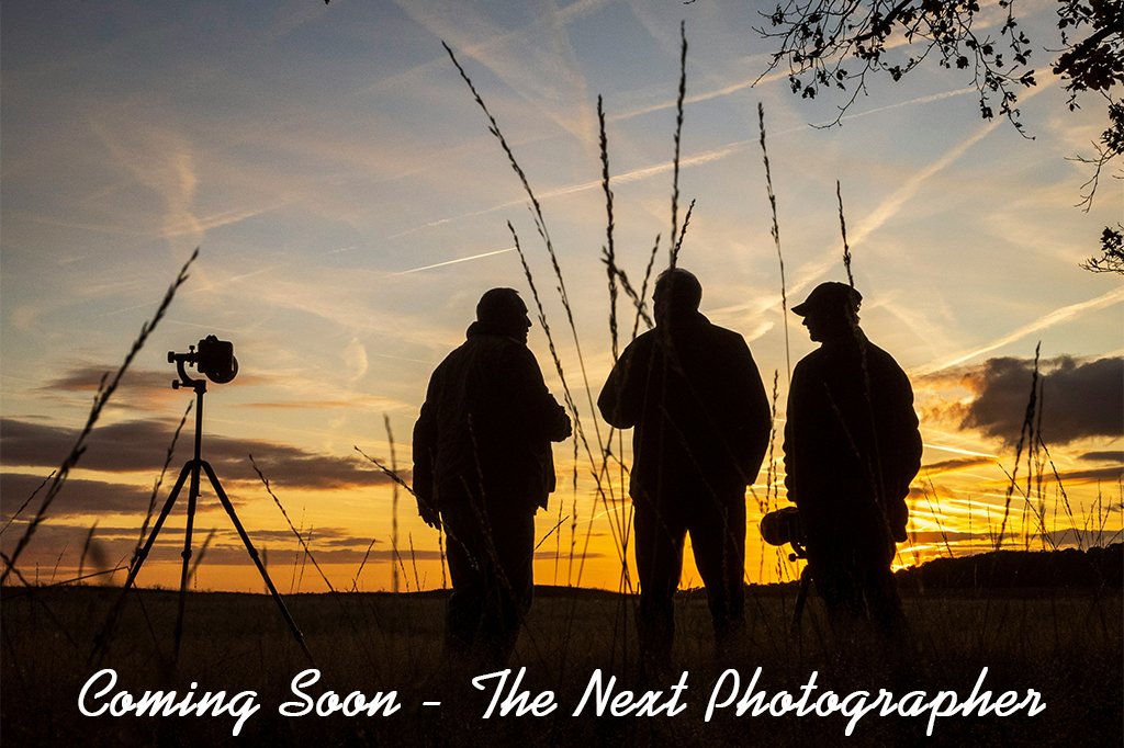 featured photographer graphic 02 featured photographer graphic 02