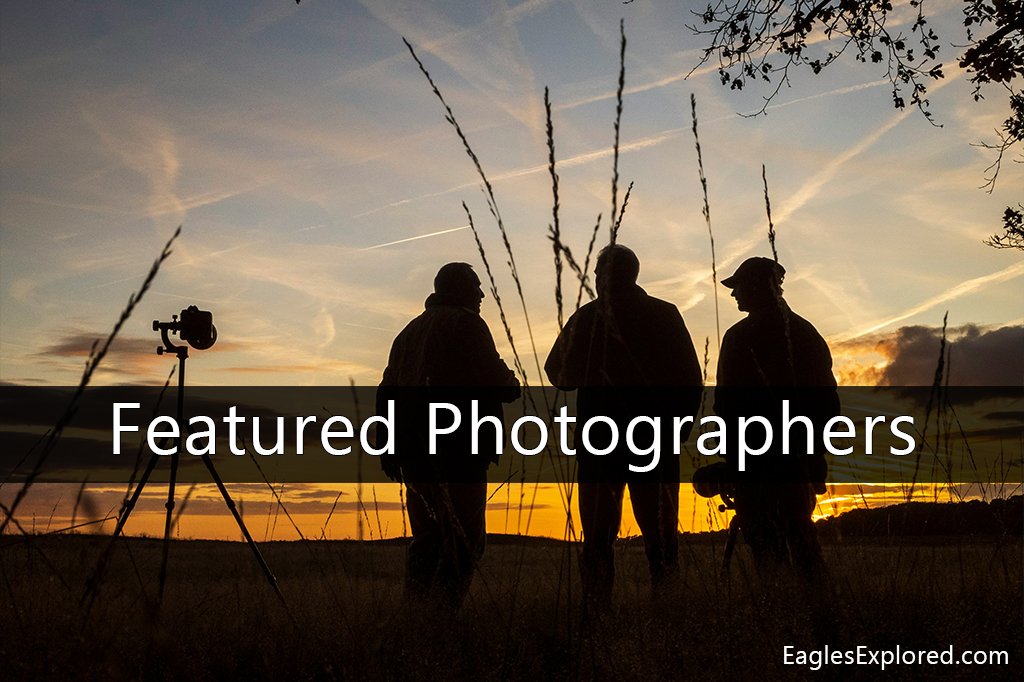 Galleries Link to EaglesExplored.com featured photographers.