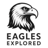flip the eagle horiz 4k transparency black png 05